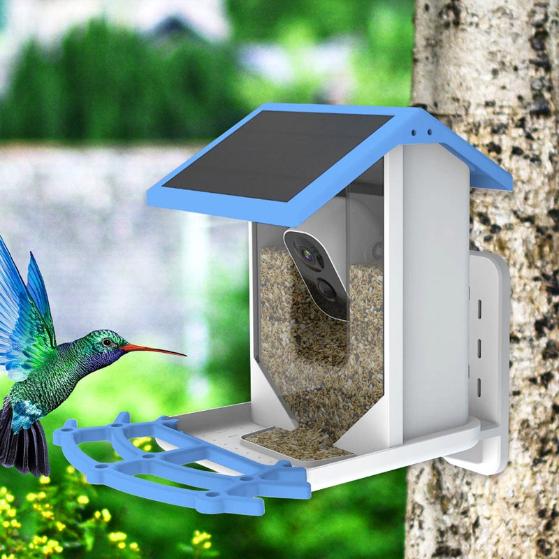 Bird Feeder Camera -
