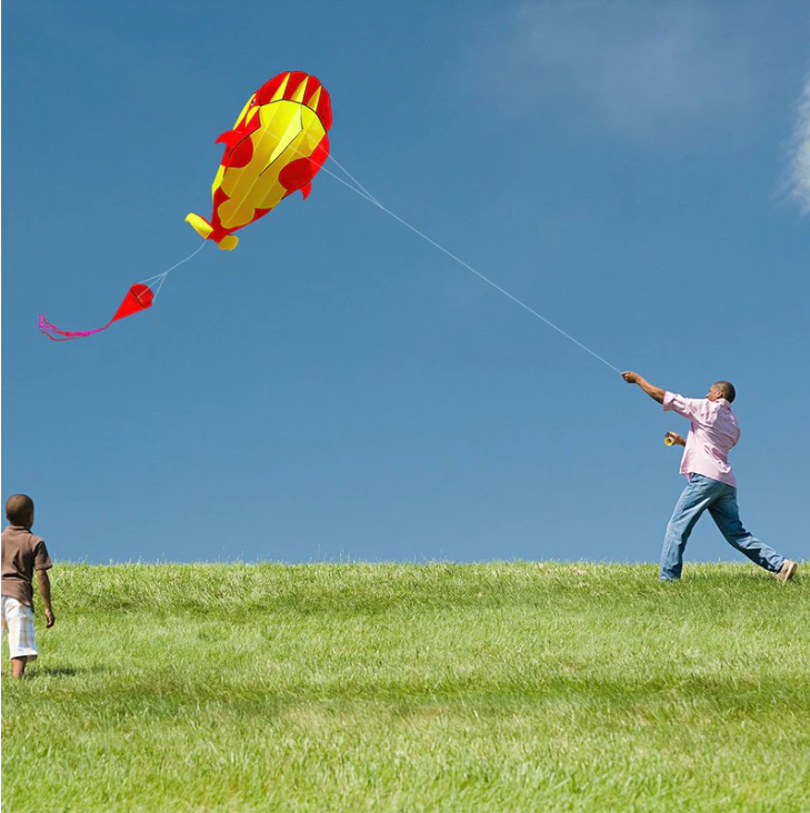 3D KITE HUGE FRAMELESS SOFT PARAFOIL WHALE KITE