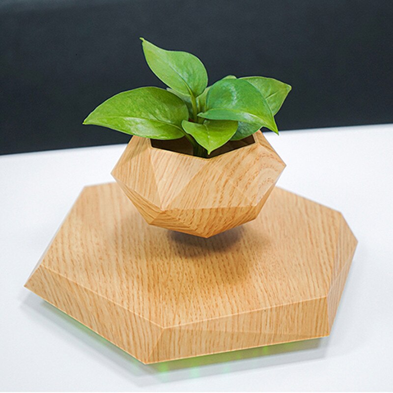 ZenPot | Hovering Plant Pot