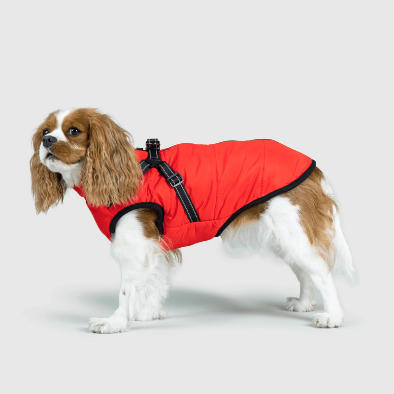 3 in 1 Winter Jacket