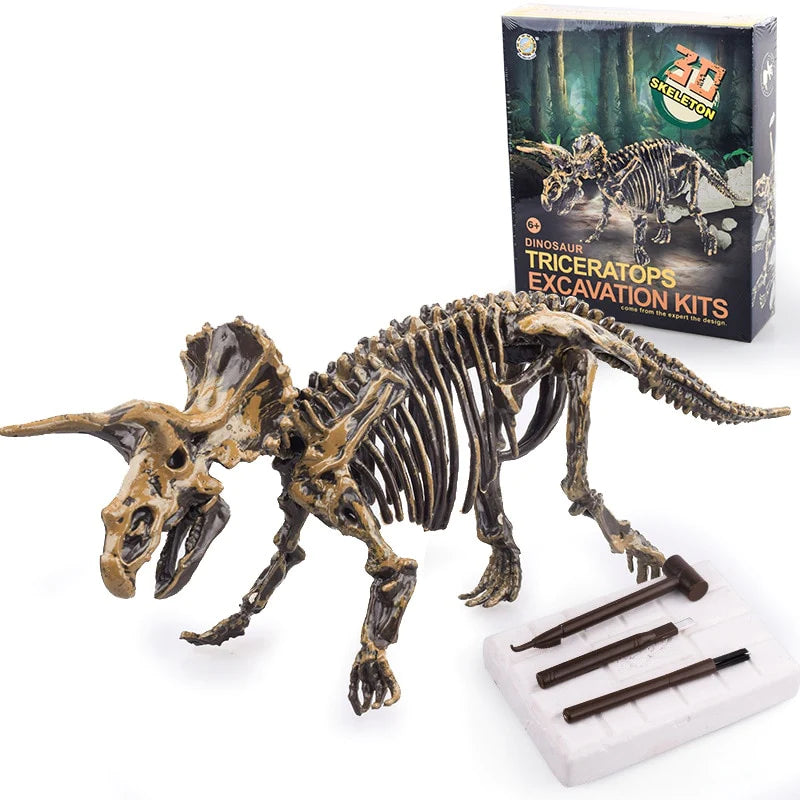 3D SKELETON DINOSAUR FOSSIL TOY