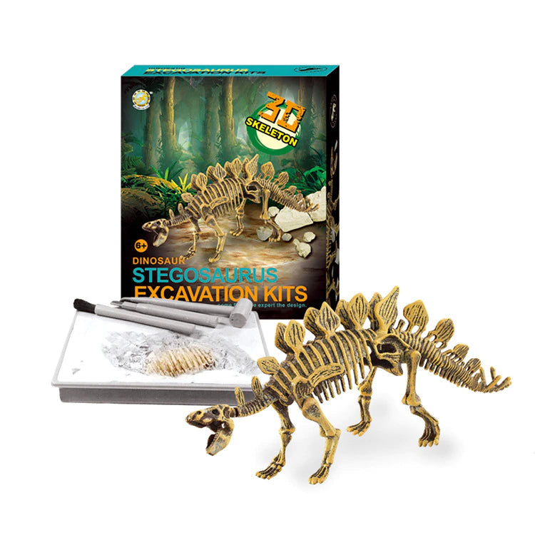 3D SKELETON DINOSAUR FOSSIL TOY