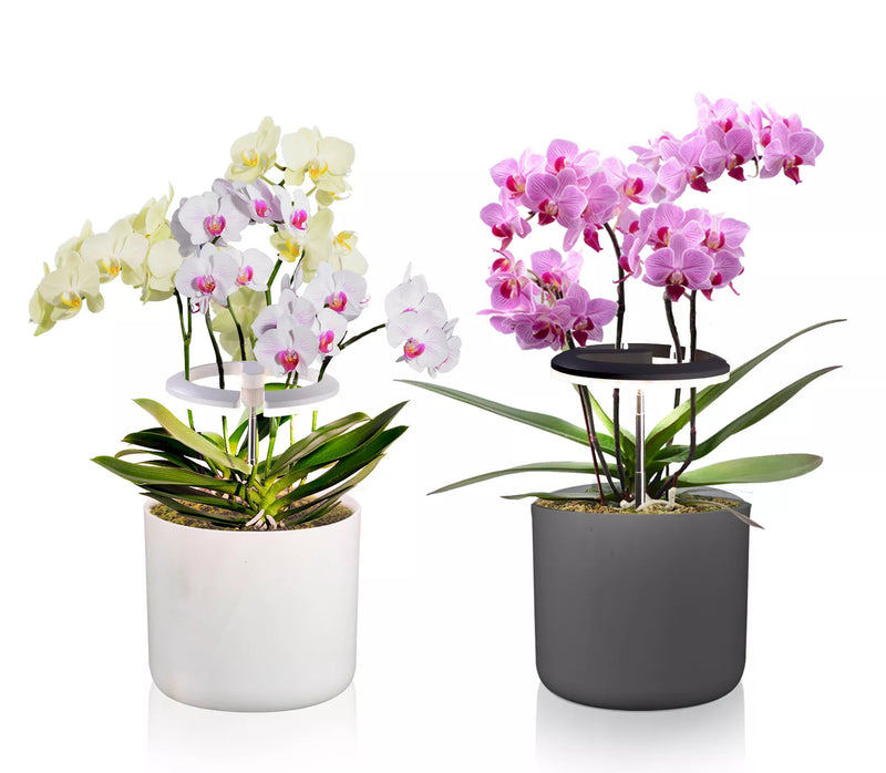 OrchidHalo | Adjustable Stand & Grow Light for Orchids and Indoor Flowers