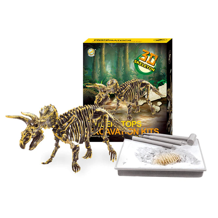 3D SKELETON DINOSAUR FOSSIL TOY