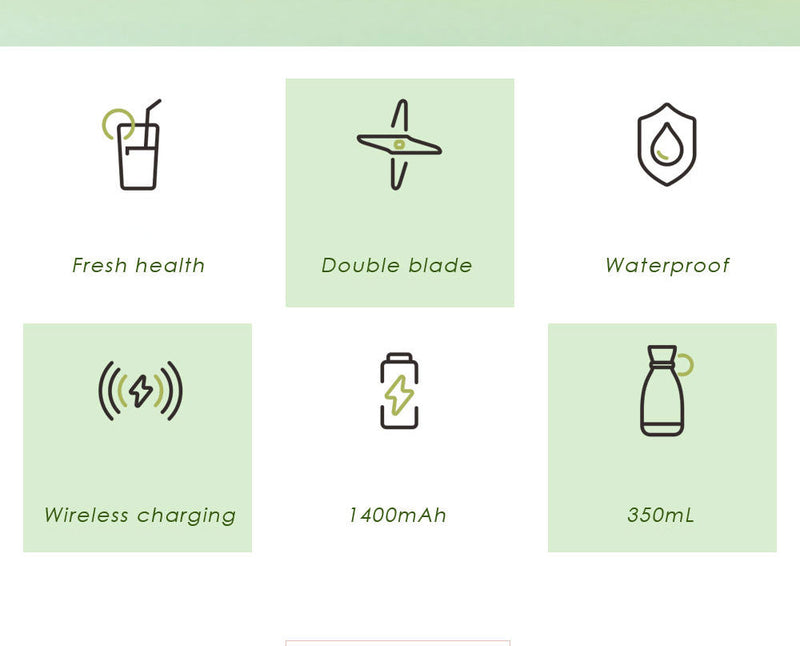 Mini Portable Blender Fruit Juicer