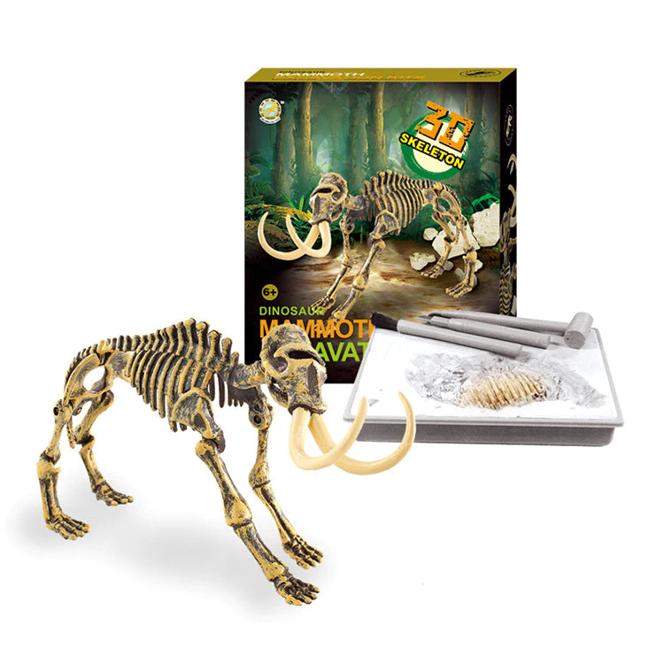 3D SKELETON DINOSAUR FOSSIL TOY