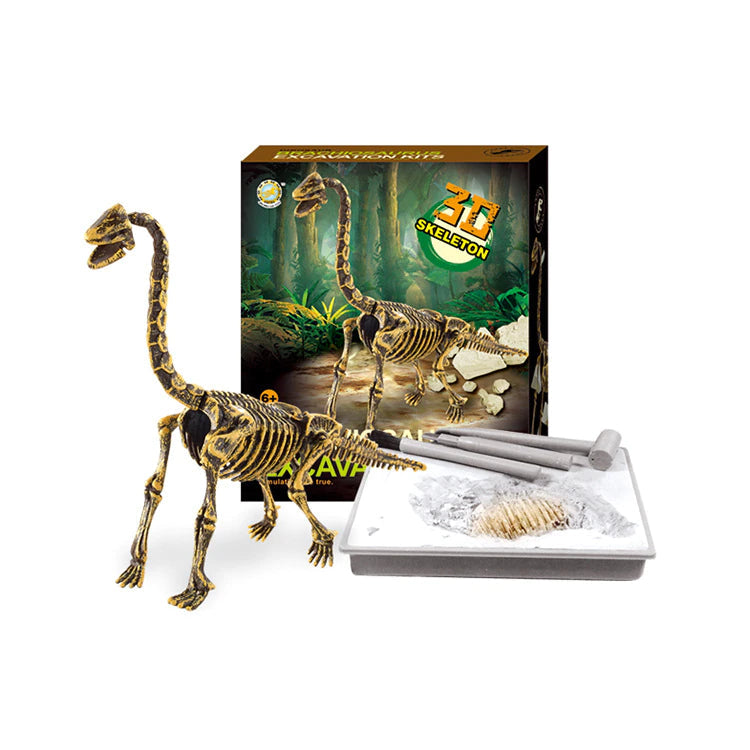 3D SKELETON DINOSAUR FOSSIL TOY