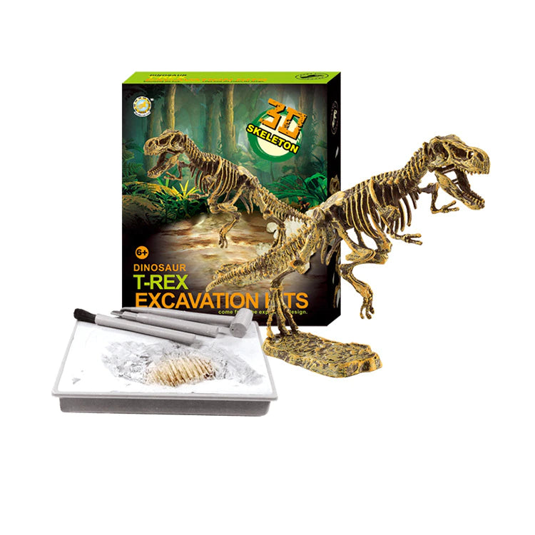 3D SKELETON DINOSAUR FOSSIL TOY