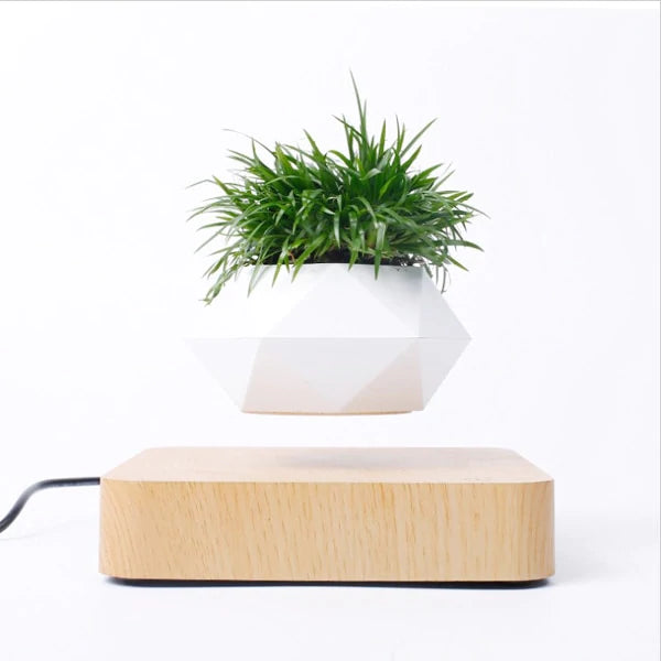 Floating Geo Plant Pot