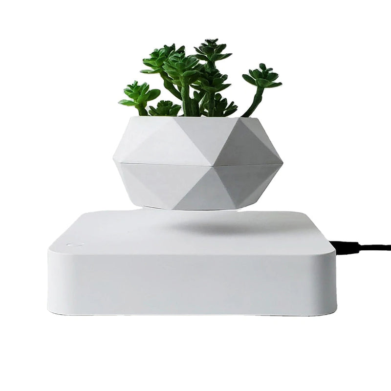 Floating Geo Plant Pot