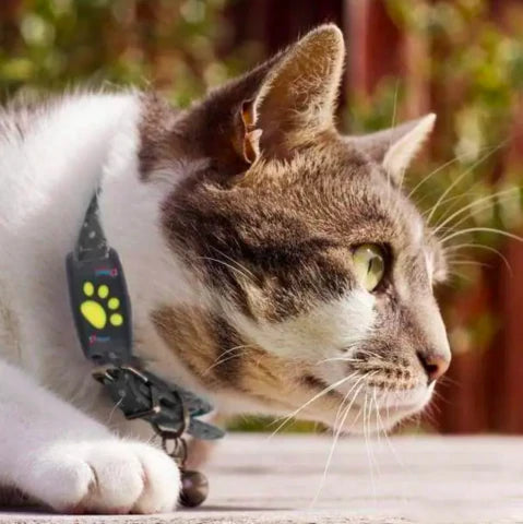 Smart GPS Cat Collar – Pet GPS Tracker