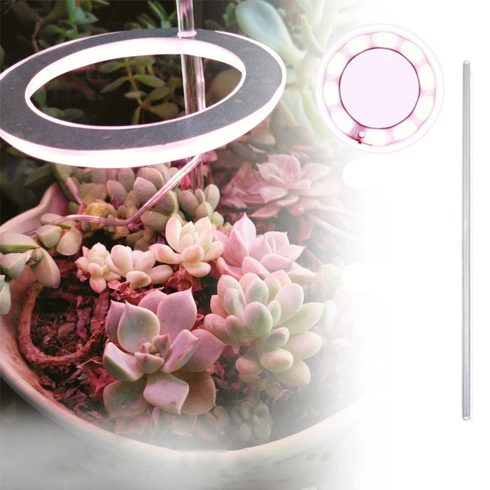 Angel Ring LED Grow Light - USB Full Spectrum Lamp for Indoor Plants & Seedlings