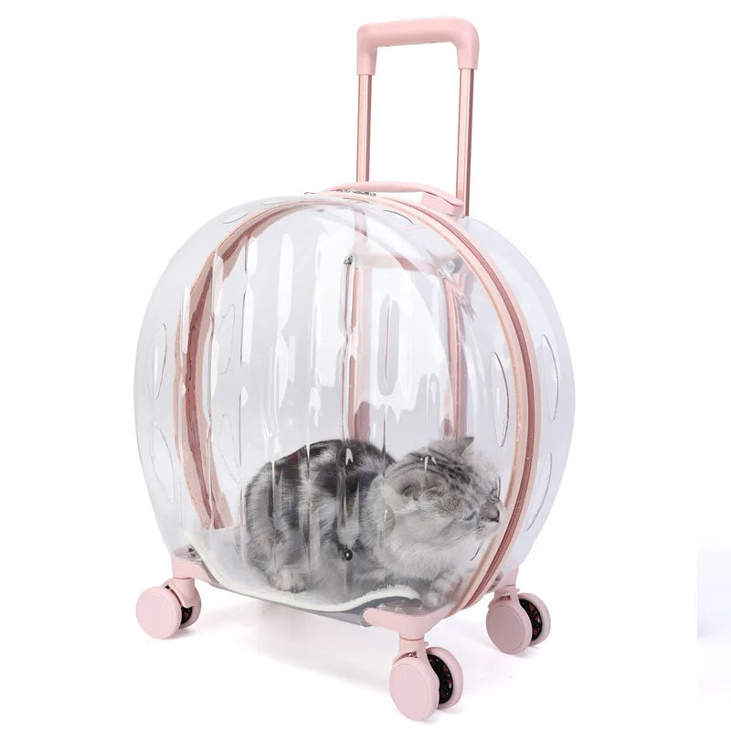 Transparent Pet Suitcase – Large Capacity Bubble Box for Stylish Pet Travel