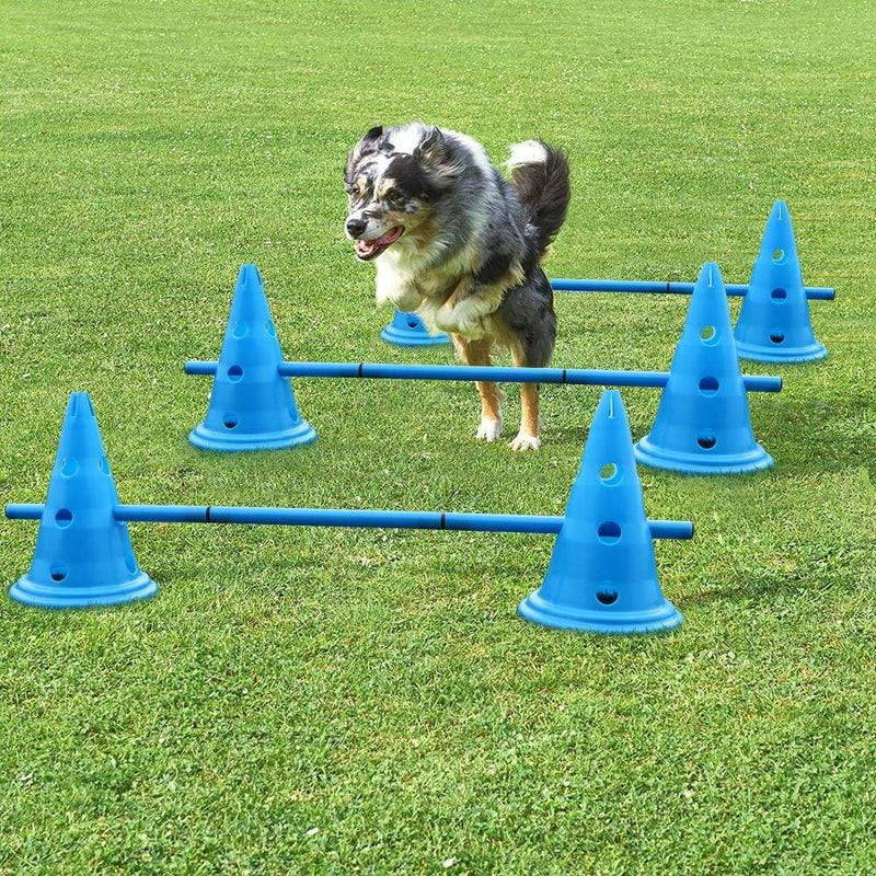 Best Dog Agility Hurdles & Adjustable Cones Training Obstacles Equipment | AgileParcour