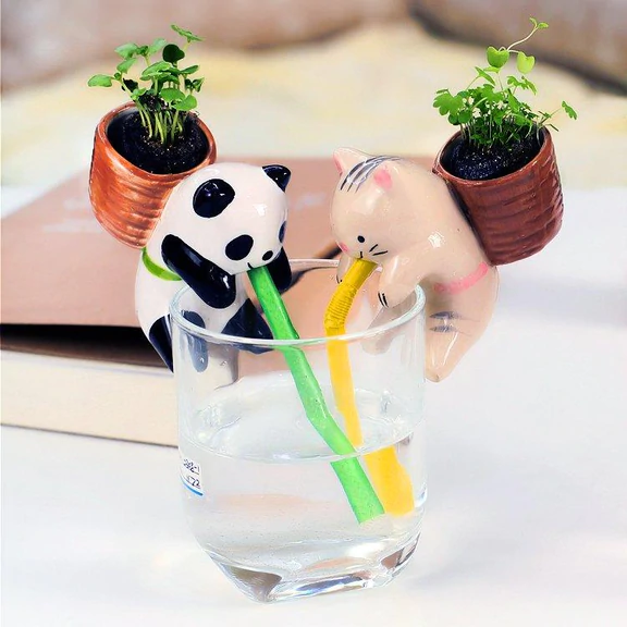 Drinking Micro Animal Plant Pots