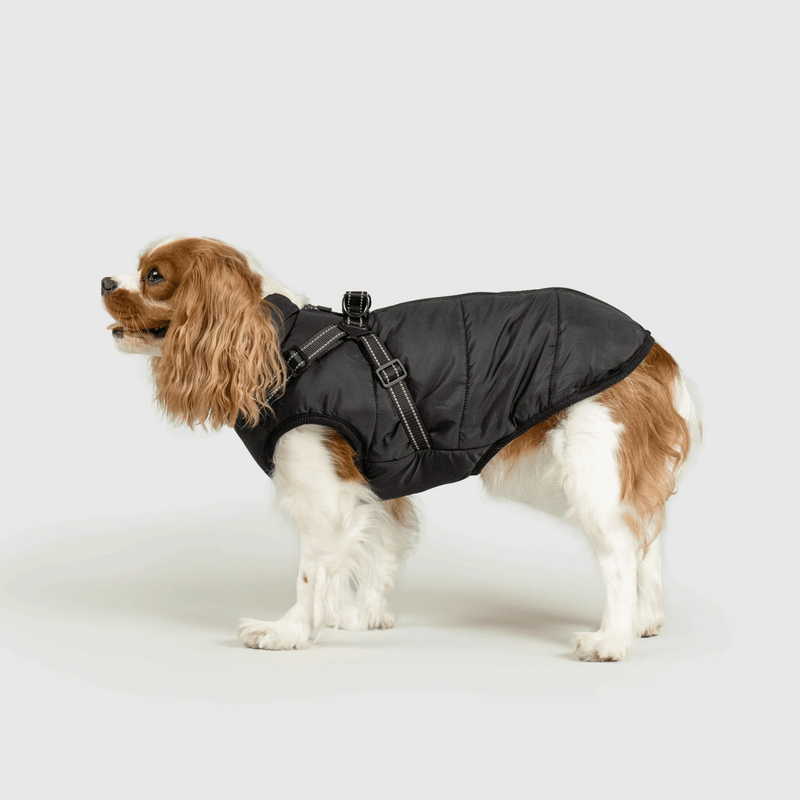3 in 1 Winter Jacket