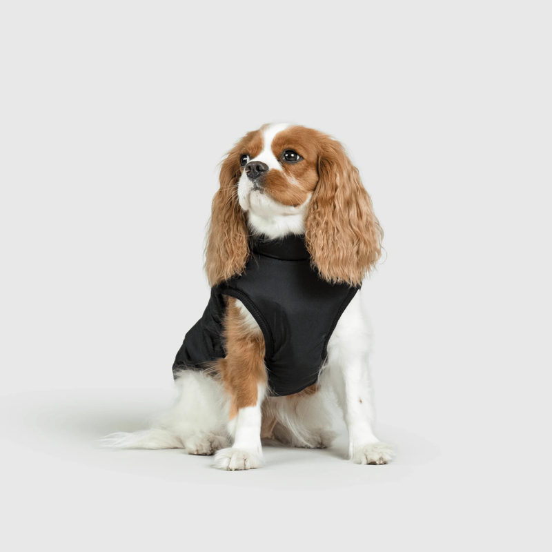 3 in 1 Winter Jacket