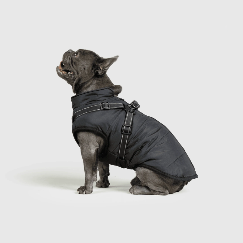 3 in 1 Winter Jacket