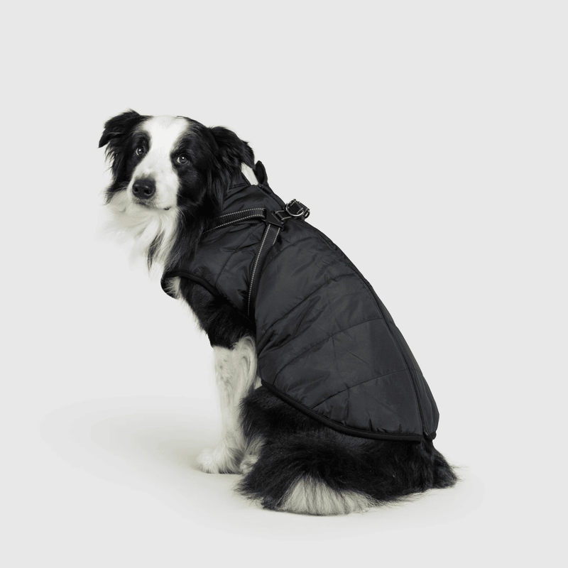 3 in 1 Winter Jacket
