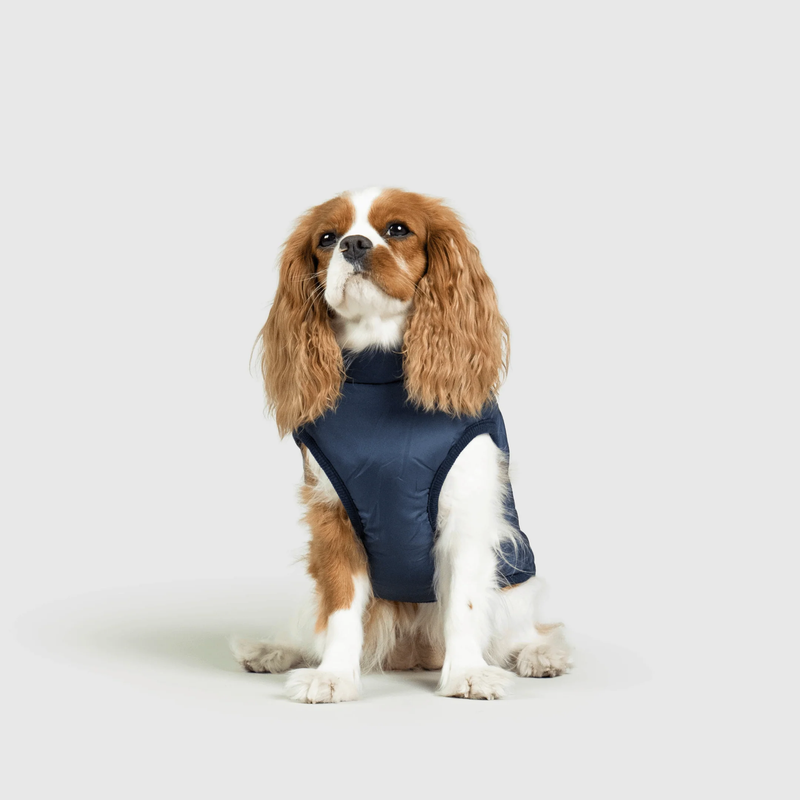 3 in 1 Winter Jacket
