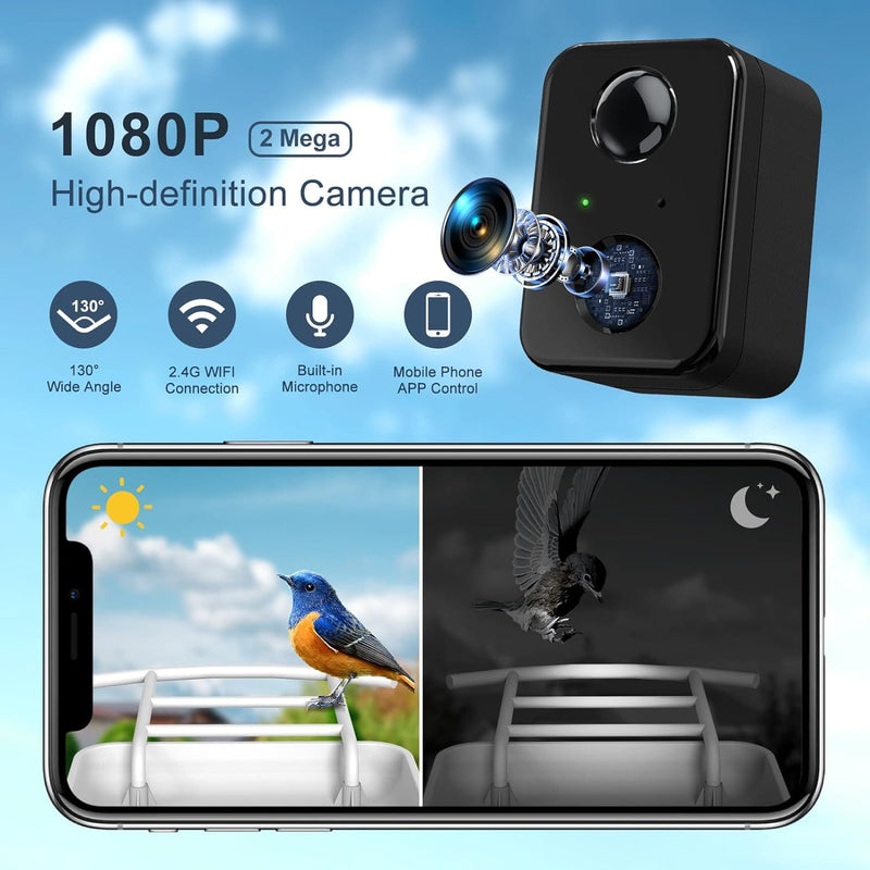 Bird Feeder Camera -