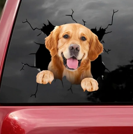 Doggy Windshield "Breaking" Decals | 12" x 12"