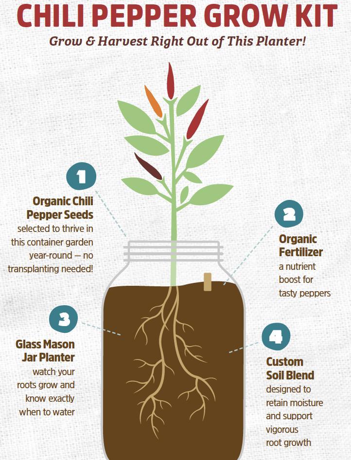 Chili Pepper Grow Kit | Back to the Roots