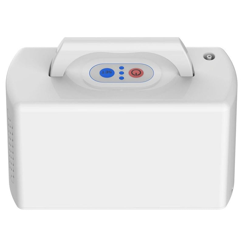 Portable Oxygen Concentrator With Battery & Carrier