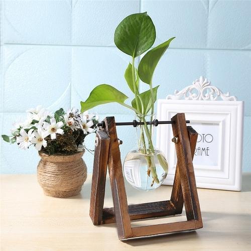 HydroVase | Elegant Glass Vase & Wood Stand Sets