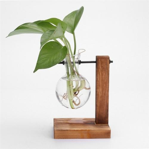 HydroVase | Elegant Glass Vase & Wood Stand Sets