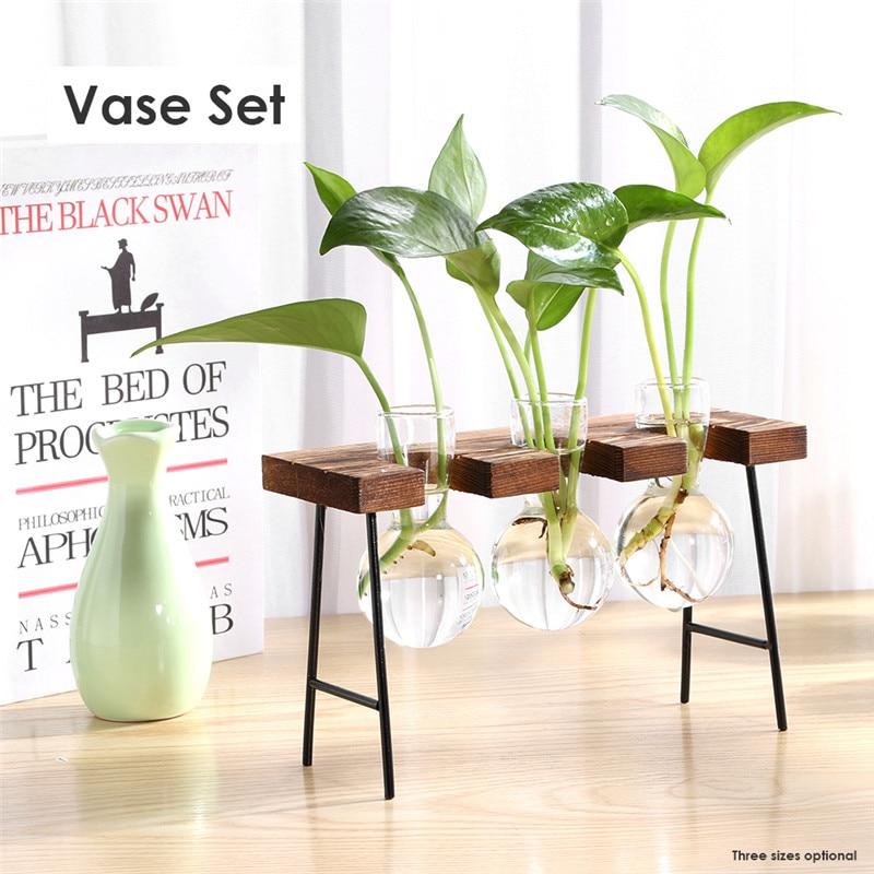 HydroVase | Elegant Glass Vase & Wood Stand Sets