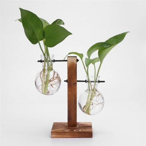 HydroVase | Elegant Glass Vase & Wood Stand Sets