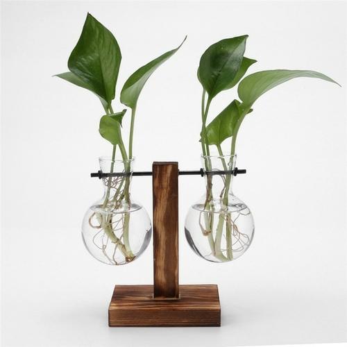 HydroVase | Elegant Glass Vase & Wood Stand Sets