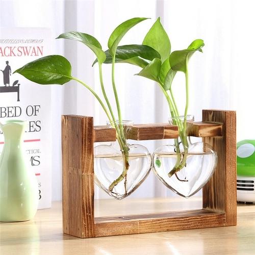 HydroVase | Elegant Glass Vase & Wood Stand Sets