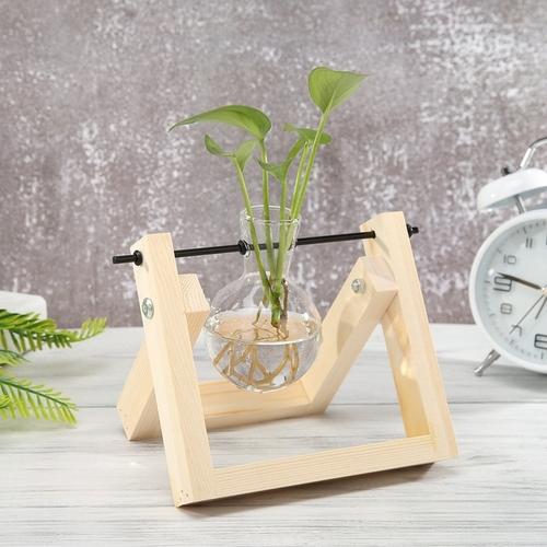 HydroVase | Elegant Glass Vase & Wood Stand Sets