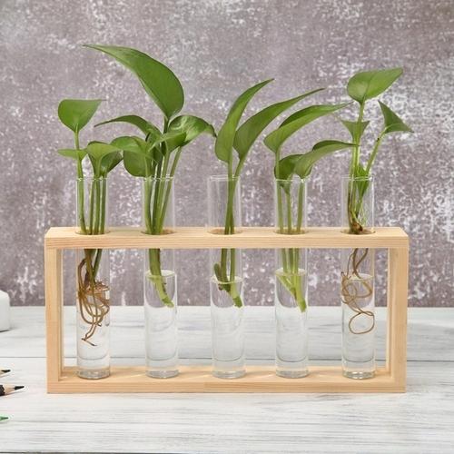 HydroVase | Elegant Glass Vase & Wood Stand Sets