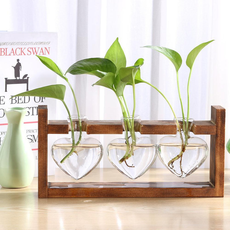 HydroVase | Elegant Glass Vase & Wood Stand Sets