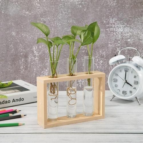 HydroVase | Elegant Glass Vase & Wood Stand Sets