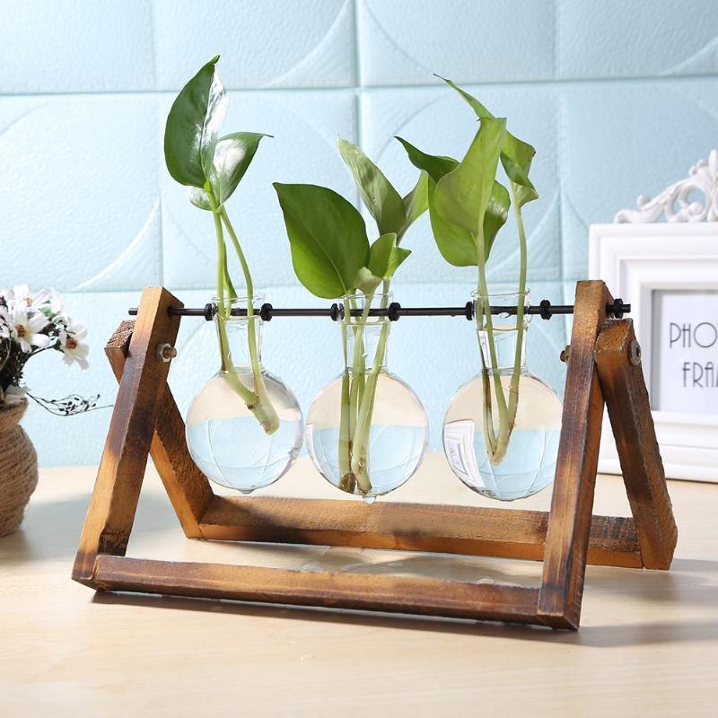 HydroVase | Elegant Glass Vase & Wood Stand Sets