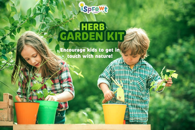 Herb Garden Project Kit for Kids