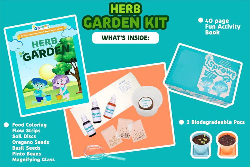 Herb Garden Project Kit for Kids