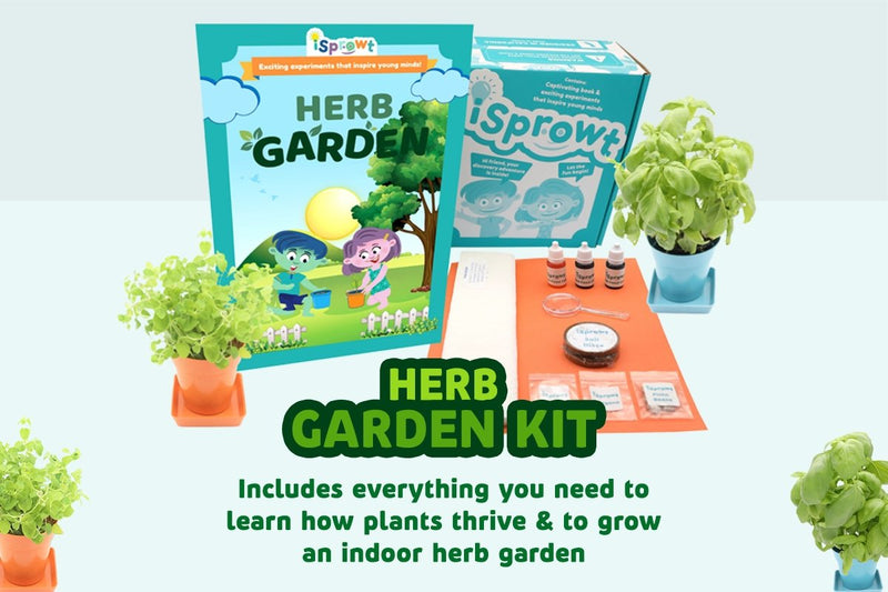 Herb Garden Project Kit for Kids