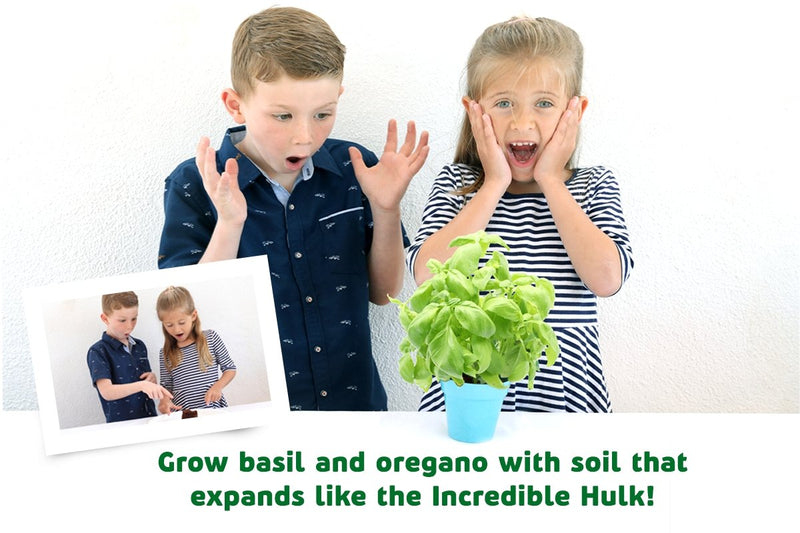 Herb Garden Project Kit for Kids