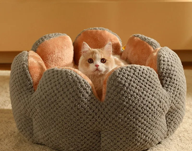 Cactus Petal Cat Bed – Soft & Cozy Winter Nest for Small Dogs & Cats