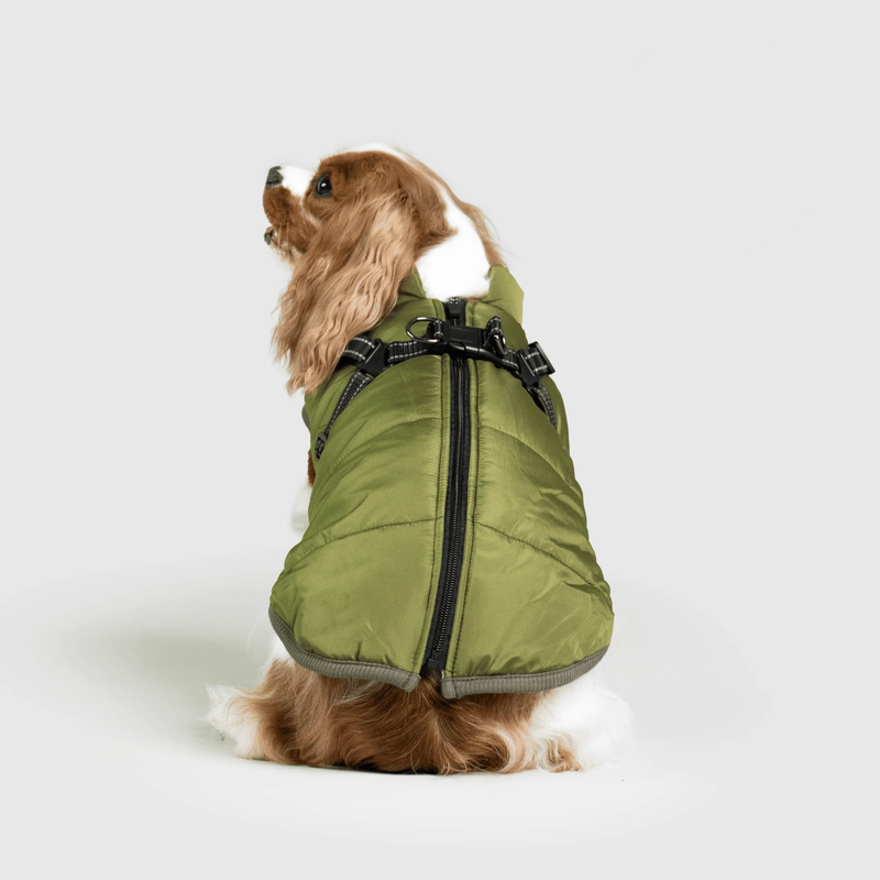 3 in 1 Winter Jacket