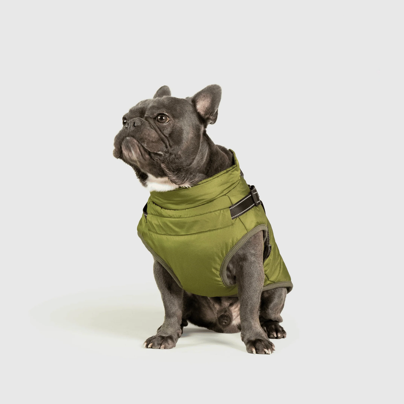 3 in 1 Winter Jacket