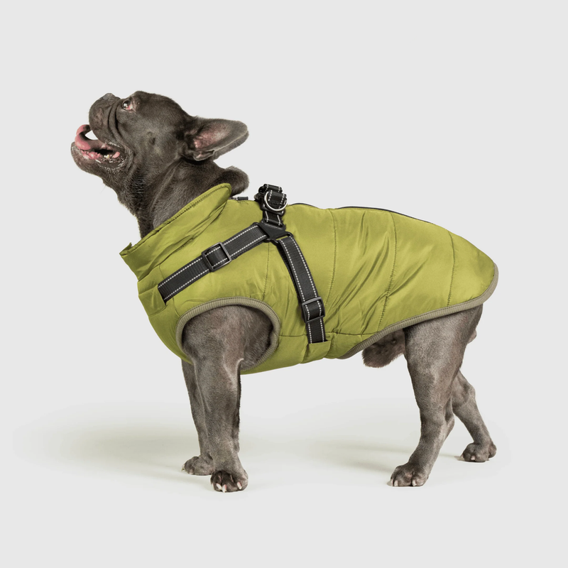 3 in 1 Winter Jacket