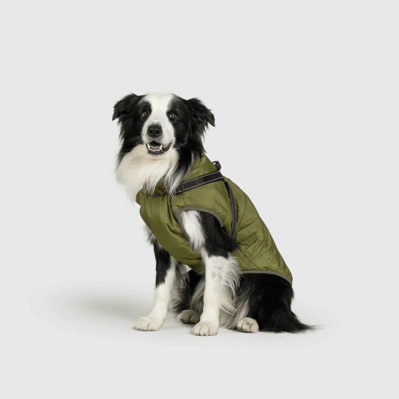 3 in 1 Winter Jacket