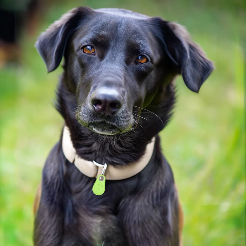 Pets Smart Waterproof GPS Tracker