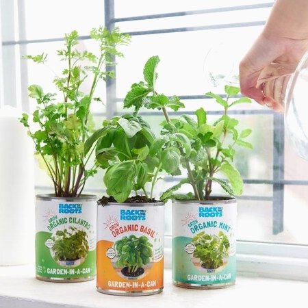 Kitchen Herb Garden Kit | Back to the Roots